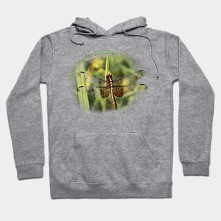 Female Widow Skimmer Dragonfly Earth Day Hoodie